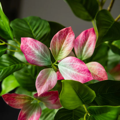82–144 Cm Großer Künstlicher Ficus-Baum, Gefälschte Magnolienpflanzen, Zweig, Hoher Banyan-Baum, Künstlicher Nandina-Baum Aus Gummi Für Hausgarten-Dekoration